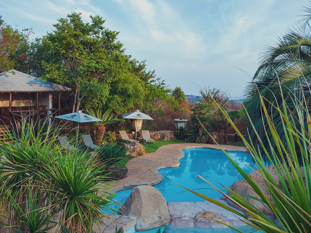 What's on in Joburg tweet media