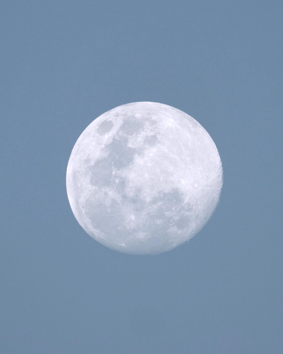 Amongst the depths of the wild…💙🌊