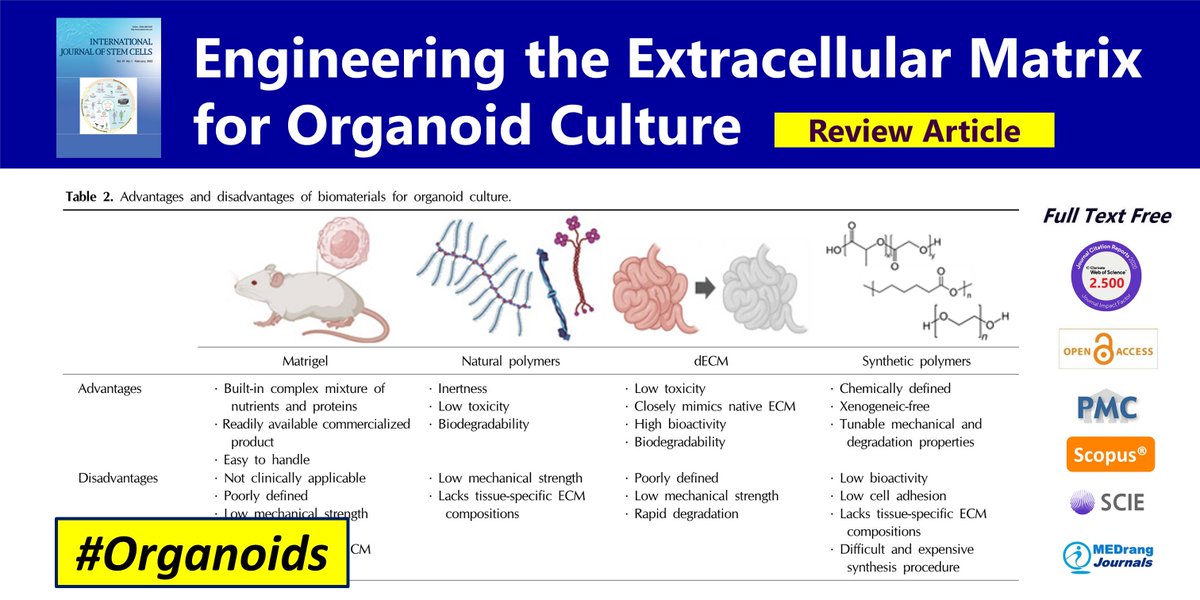 IntJStemCells's tweet photo. Engineering the #Extracellular_Matrix for Organoid Culture
open access🌷https://t.co/KCRqFXRhS7
International Journal of Stem Cells 2022;15(1) Yoonhee Jin
#Stem_Cell_Niche #Organoid_Engineering #Hydrogel https://t.co/h1M586UtZ6