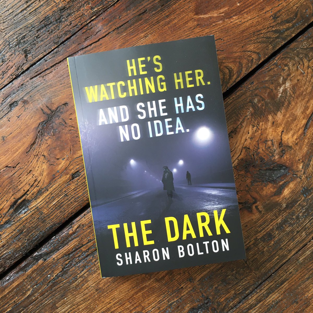 I expected no less but the opening scene to this is heart-slammingly good. Lacey Flint is back. Excuse me while I worship at the feet of <a href="/AuthorSJBolton/">Sharon Bolton</a>