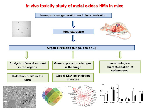 NanoEnviCz tweet media