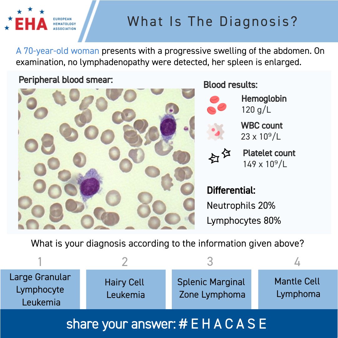 European Hematology Association tweet media