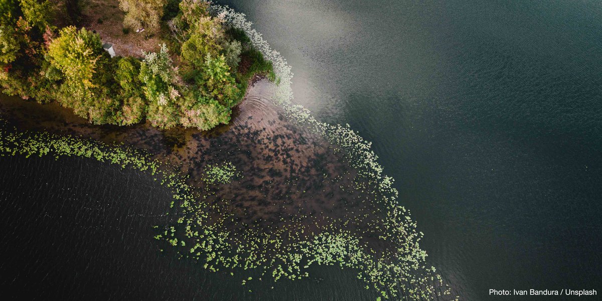 IUCN's tweet photo. Ecosystem restoration has many benefits, including:
🐅Increasing biodiversity
💧Improving air and water quality
💪Empowering indigenous &amp; local knowledge

Our new toolkit helps guide restoration projects https://t.co/1wXvoo3LjR #GenerationRestoration https://t.co/O7Z5BRytjW