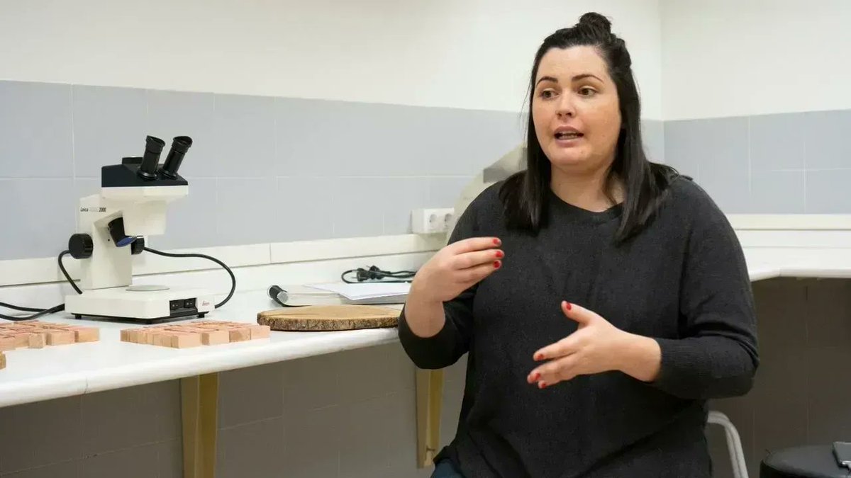 Oportunidad para producir #madera de frondosas de calidad. 
La investigadora Adriana Conde forma parte del programa #ElasXeranSector, 
puesto en marcha por #Xera; para visibilizar el papel de la mujer en el mundo forestal.
buff.ly/3JXcjaH
#XERAsavia