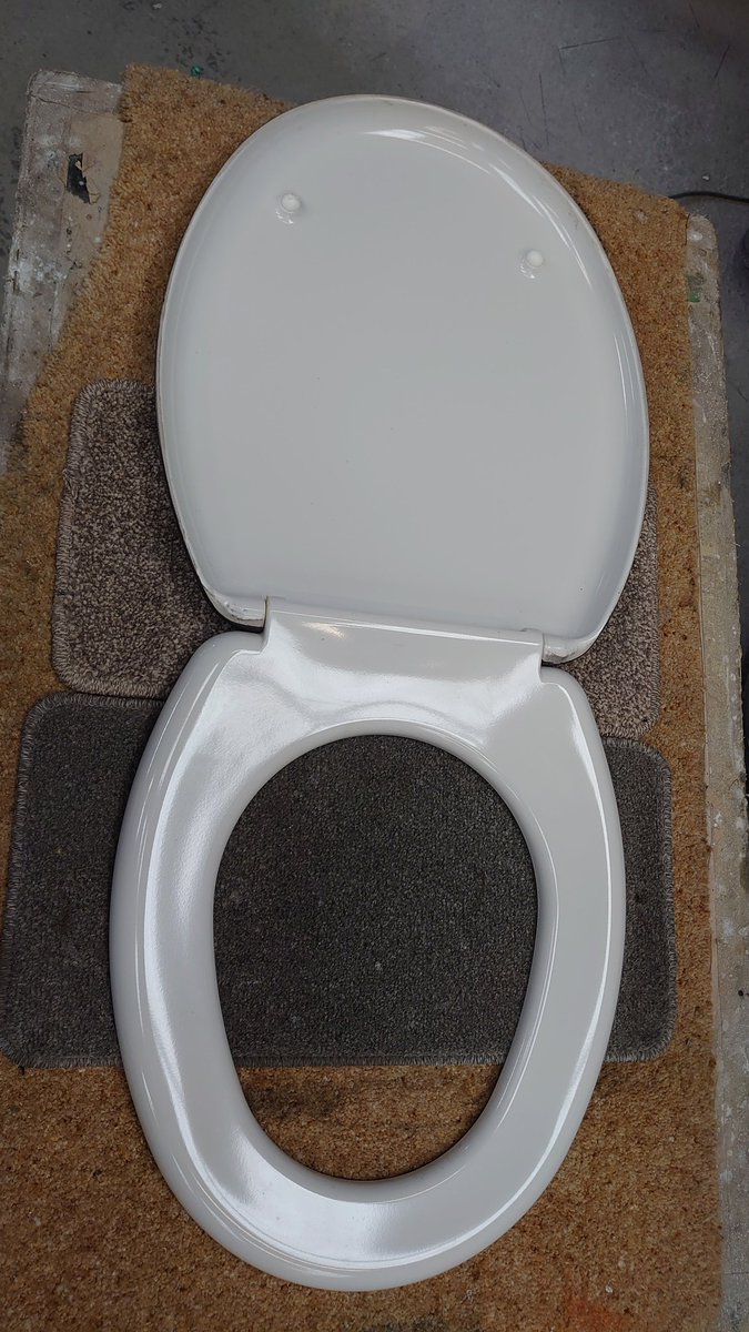 MDMachine's tweet image. Cheeky little devil on this loo seat(unused)
