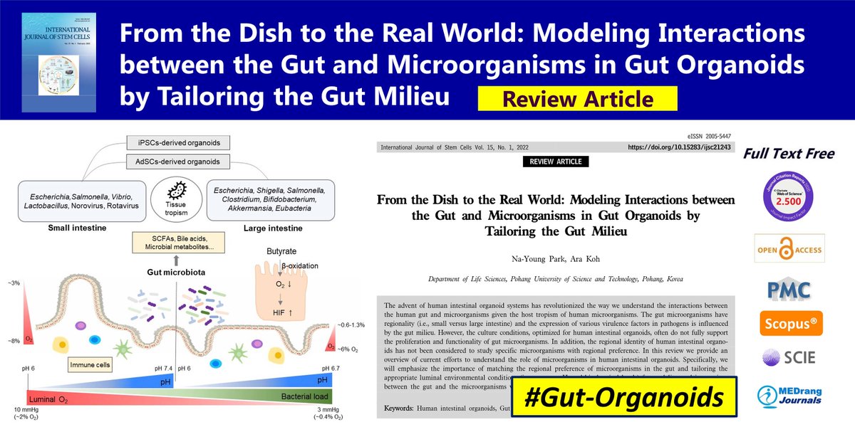 IntJStemCells's tweet photo. From the Dish to the Real World: Modeling Interactions between the Gut and Microorganisms in #Gut_Organoids by Tailoring the Gut Milieu
open access🌷https://t.co/MWYedqPQL9
IJSC 2022;15(1) Ara Koh
#Human_intestinal_organoids #Gut_microbiota #Enteric_pathogens #Regionality https://t.co/igUwLUPYkU