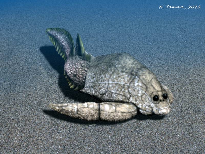why not Dent bra Nobu Tamura on Twitter: "One of my favorite armored fish: Pterichthyodes  milleri from Middle Devonian Scotland https://t.co/uSf1SDWdRa  https://t.co/PNYHsRYqaZ" / Twitter