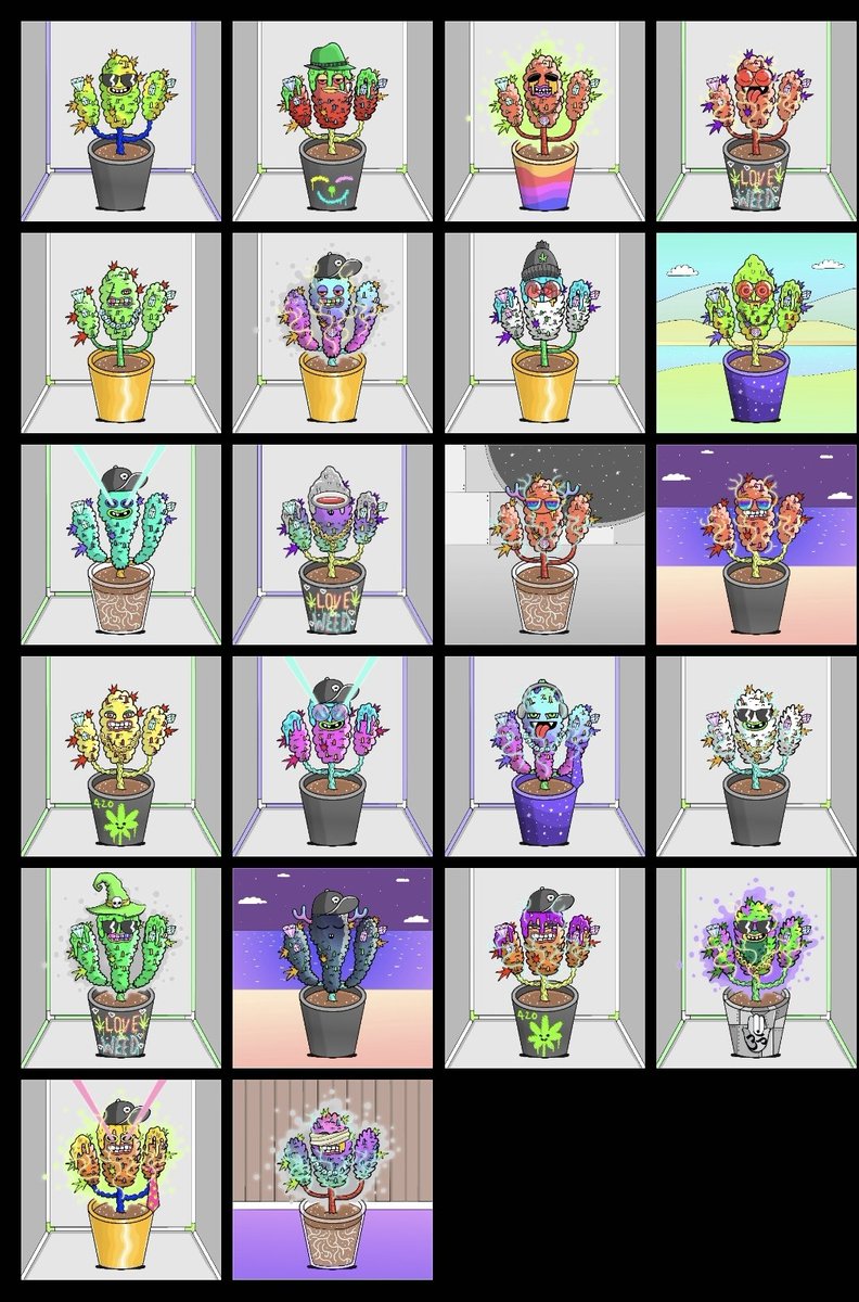 LuisM0neyMaker's tweet photo. Mis plantas, creo que pondré un negocio en el metaverao 💡 https://t.co/p31R0WEggv