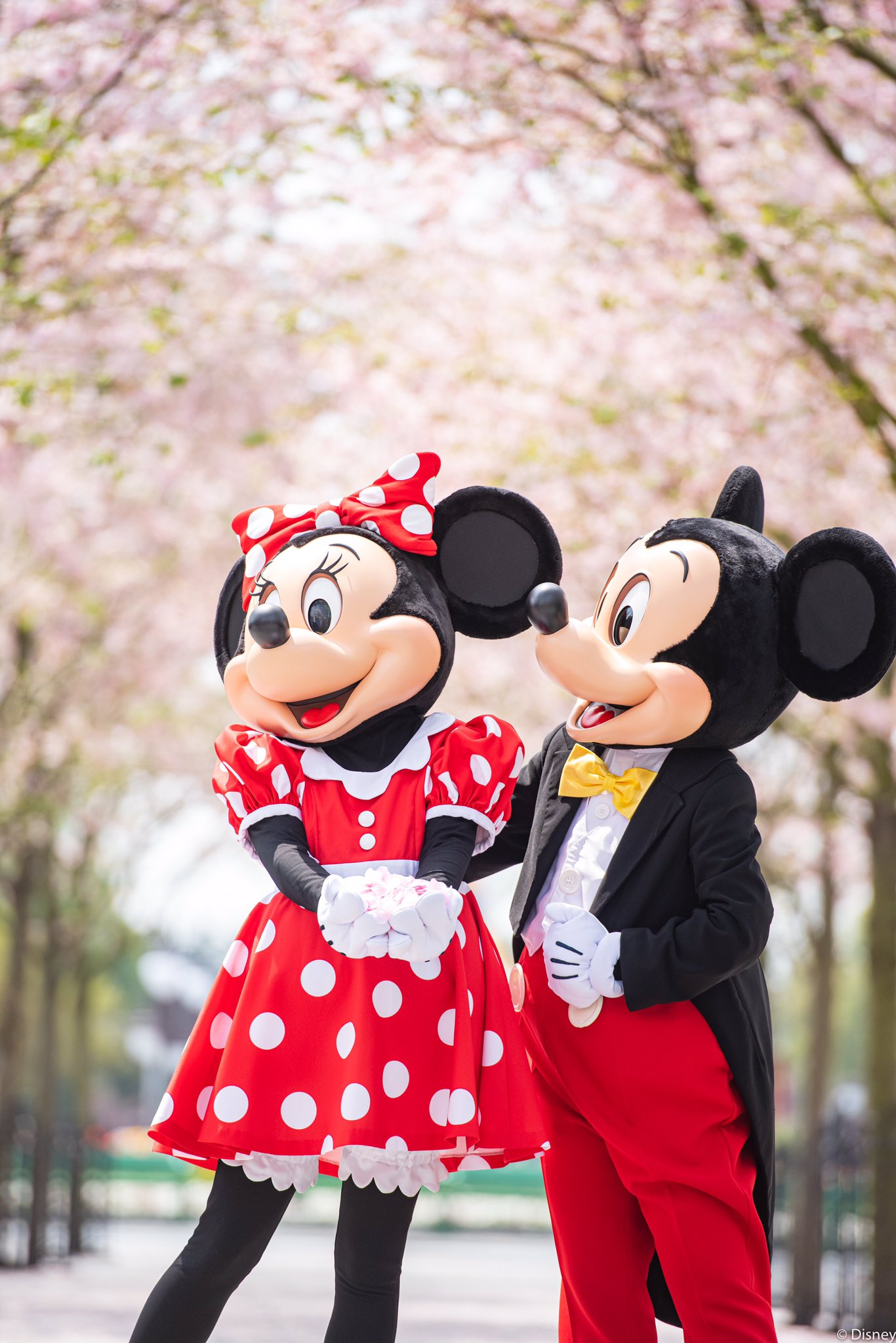 上海ディズニーリゾート 公式 今日はホワイトバレンタインデー ホワイトデー にちなんでミッキー アベニュー内 スウィートハート コンフェクショナリー に隠された愛の物語を見てみましょう 店内の壁にはミッキーとミニーが舟を漕ぐ姿や 上海ディズニーリゾート 公式 今日はホワイトバレンタインデー ホワイトデー にちなんでミッキー アベニュー内 スウィートハート コンフェクショナリー に隠された愛の物語を見てみましょう 店内の壁にはミッキーとミニーが舟を漕ぐ姿や