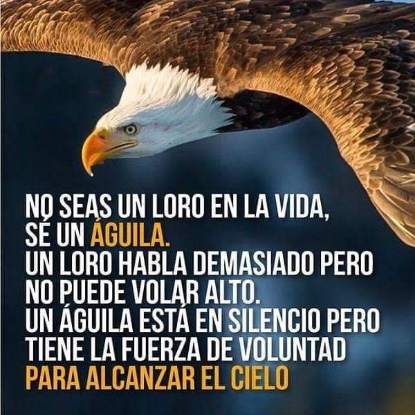 duttopaula's tweet photo. https://t.co/H16DAeG34Y