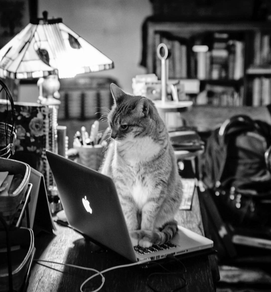 hackermews's tweet photo. https://t.co/ENJGxLF7jb https://t.co/znKkQOq8NO
