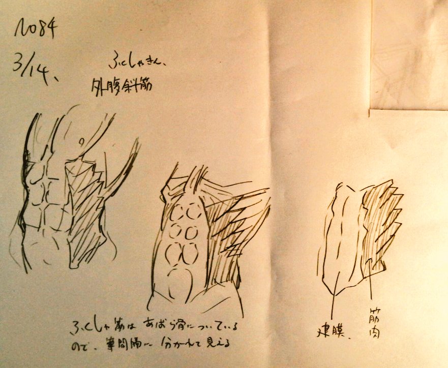 #一日一模写Ⅱ 84/365 