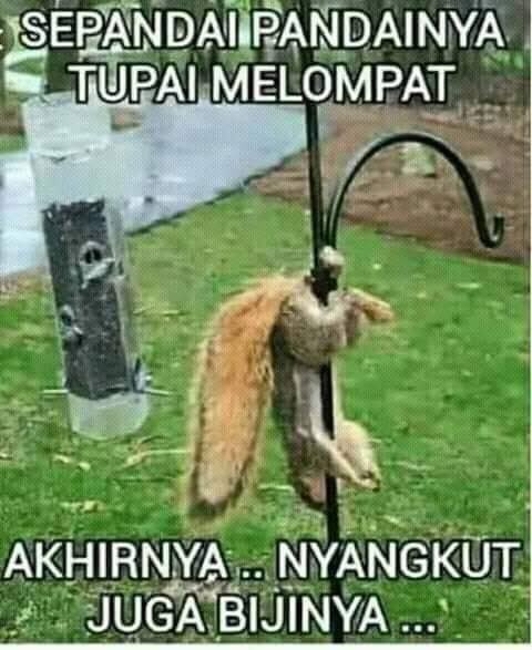 intinya harus bodoh, biar biji kaga nyangkut