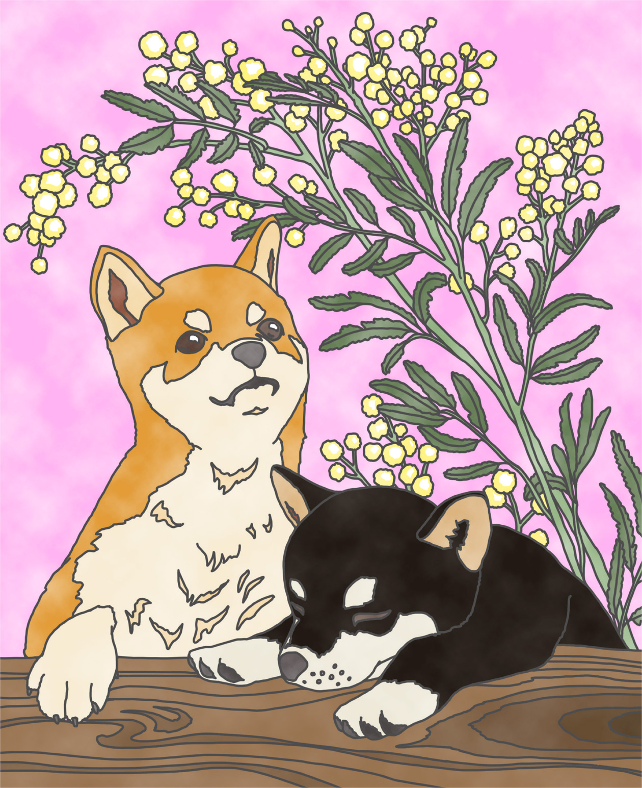 フールくん 4p漫画公開中 ぬり絵に挑戦 自律神経を整えるぬり絵 心やすらぐ動物たちをぬる より 自律神経を 整えるぬり絵コンテスト 柴犬 ミモザ アカシア 水彩 T Co Gqwsdjlqll Twitter