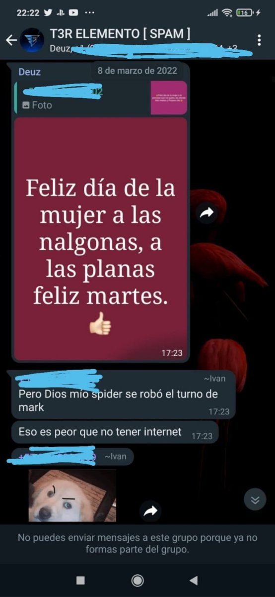 Yessi 😻🙈🐝 tweet media