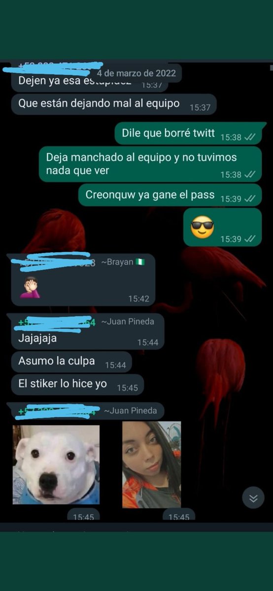 <a href="/Gokublack828/">Mambe❄️No tan negro</a> para que no me denuncien el twett, ya que no te hicieron caso y te dejaron por otro , te desquitas así?