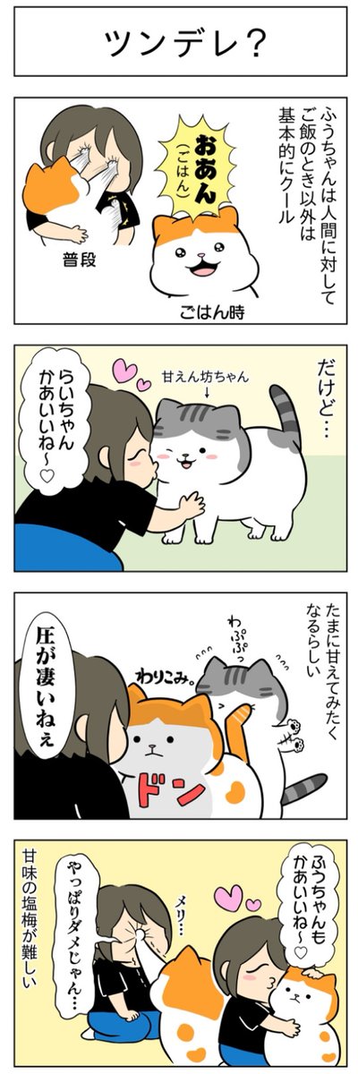 ツンデレ?│フェリシモ猫部 https://t.co/eGMIg9qt22 