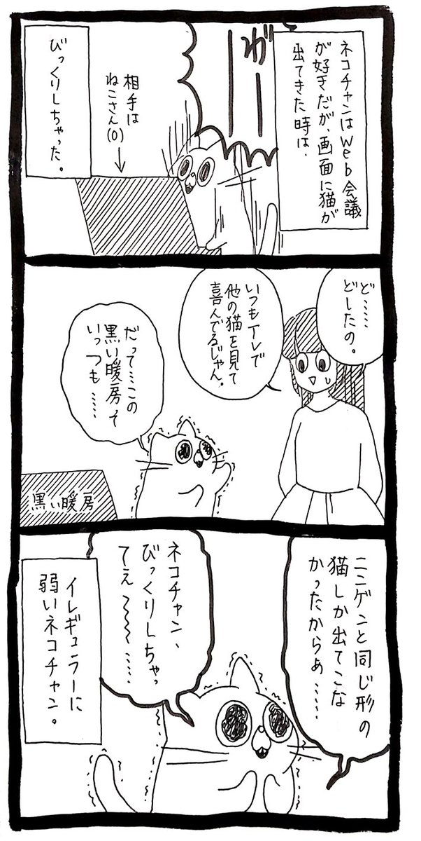 猫同士を対面させた飼い主 しっぽを膨張させて…? 「笑った」 https://t.co/5l79c9AP92 @grapeejpより 
