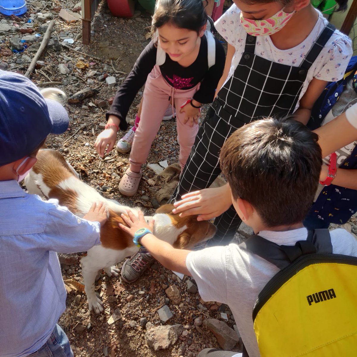 ncseerc's tweet photo. Kids day out! If you are looking to take your kids out but want something fun and unique, visit Noah’s Ark! Play with animals and learn about them 💚 
Weekdays hours: 4pm-6pm
Weekends hours: 10am-1pm &amp; 4pm-6pm

#natureclubsurat #kidsactivities #funwithlearn #kids https://t.co/pQGfLdwVf7