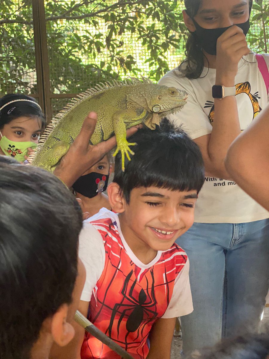 ncseerc's tweet photo. Kids day out! If you are looking to take your kids out but want something fun and unique, visit Noah’s Ark! Play with animals and learn about them 💚 
Weekdays hours: 4pm-6pm
Weekends hours: 10am-1pm &amp; 4pm-6pm

#natureclubsurat #kidsactivities #funwithlearn #kids https://t.co/pQGfLdwVf7