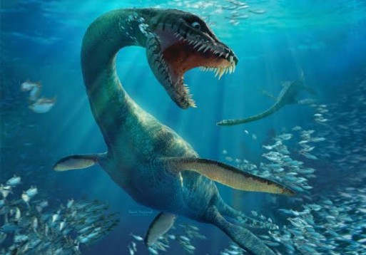 Wee_Plesios's tweet photo. Plesiosarus's length and weight are estimated at 15 metres (about 50 feet) and 45 tonnes (almost 100,000 pounds), respectively.

#nft #NFTCommunity #NFTProject #NFTartist #NFTdrop #NFTCollection #nftcollectors #cryptokitties #cryptocurrecy #Cryptos #BoredApeYachtClub #diginoor https://t.co/VGSRr4ykRd