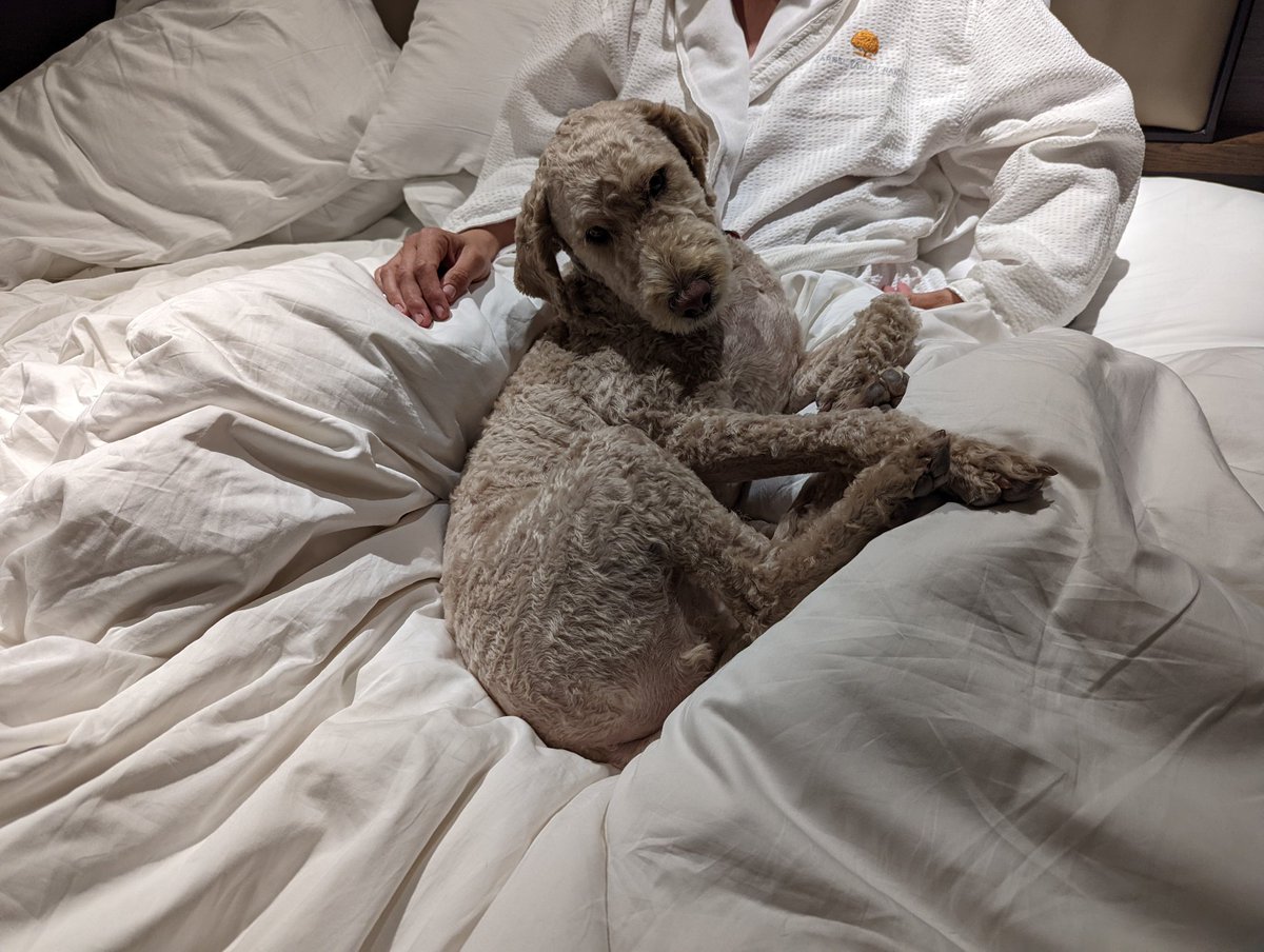 WallerDoodle's tweet photo. Hey ladies https://t.co/9gzOZ6Tv2S