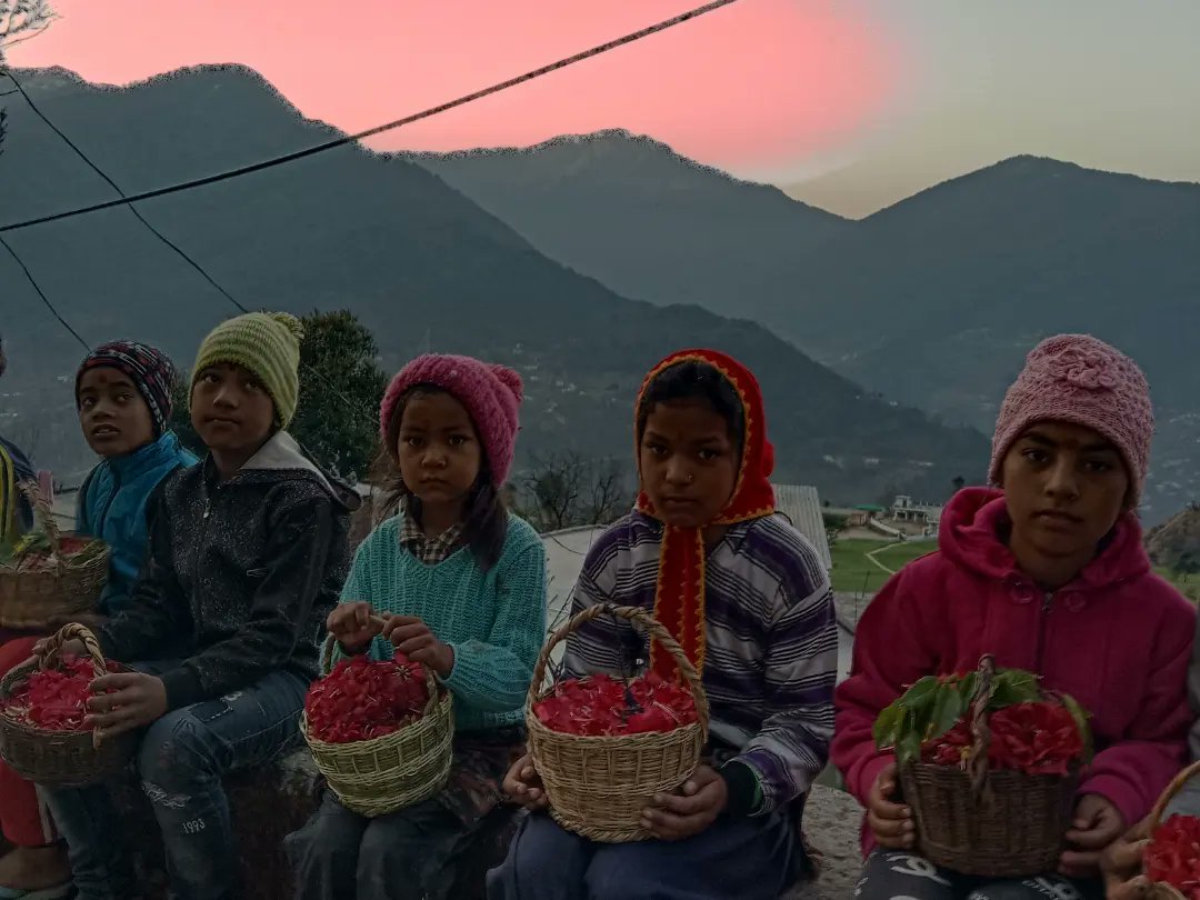 बसंत ऋतु के आगमन व उत्तराखंड के लोकपर्व फूलदेई की आप सभी को हार्दिक शुभकामनाएं. आज पहाड़ में पलने-बढ़ने वाले बच्चों का पसंदीदा पर्व फूलदेई है. ये लोकपर्व हमारे लिए इसीलिए भी ज्यादा खास है क्योंकि संस्था का नाम इसी से जुड़ा हुआ है

फुलारी 🌼
<a href="/thebabetalks/">Shivani Rawat</a> <a href="/MinakshiKandwal/">Meenakshi Kandwal मीनाक्षी कंडवाल</a>