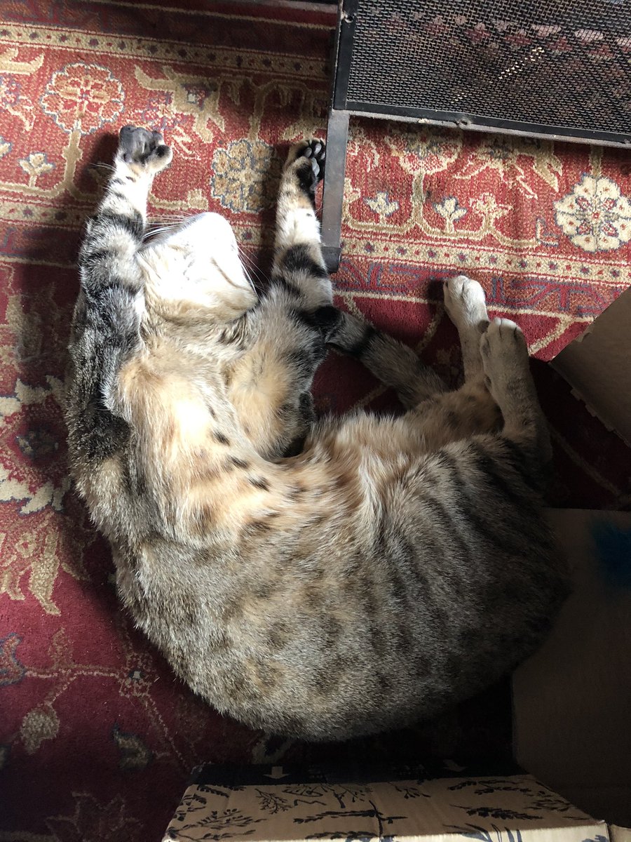 Helen Higson tweet media