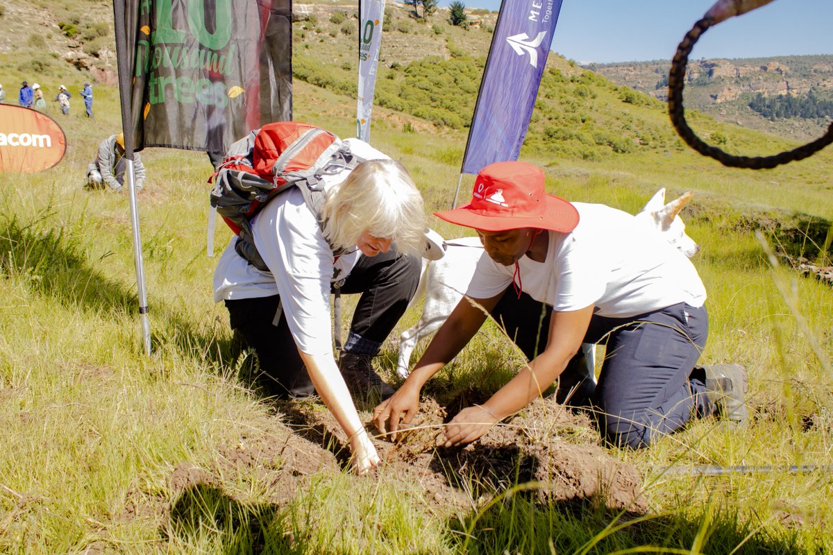 limomonane's tweet photo. #10ktrees Week One in Pictures. 
Thank you dearly to each stakeholder who participated and took part in the initiative to #GreenLesotho as we started from Mokhotlong and carried on to Leribe. https://t.co/te96uooYhI