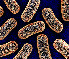 2022Biosimilars's tweet photo. 3rd International Conference on #Biologics, #Biosimilars and #Biomarkers| #May 11-12, 2022|
#Florida #USA | Please submit your abstract at: https://t.co/il8KTKTVUZ
| Biosimilars-2022| https://t.co/6ZoSbb8ytq| #Register|#PredictiveBiomarkers #GensightBiologics
@USBiosimilars https://t.co/iujTtTM3Mm