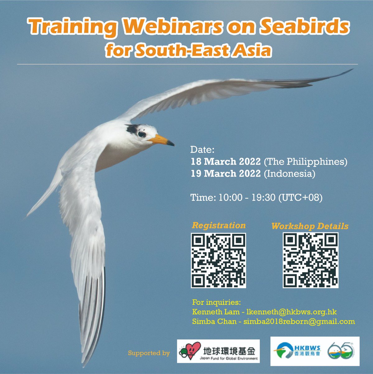YYT_HKBWS's tweet photo. We are conducting a webinar about seabird for the Western Pacific region this Friday and Saturday . Join us when you are free!! 

#hkbws #JFGE #tern #ternscience #YoT #yearoftheterns https://t.co/PP4OTo9gyW