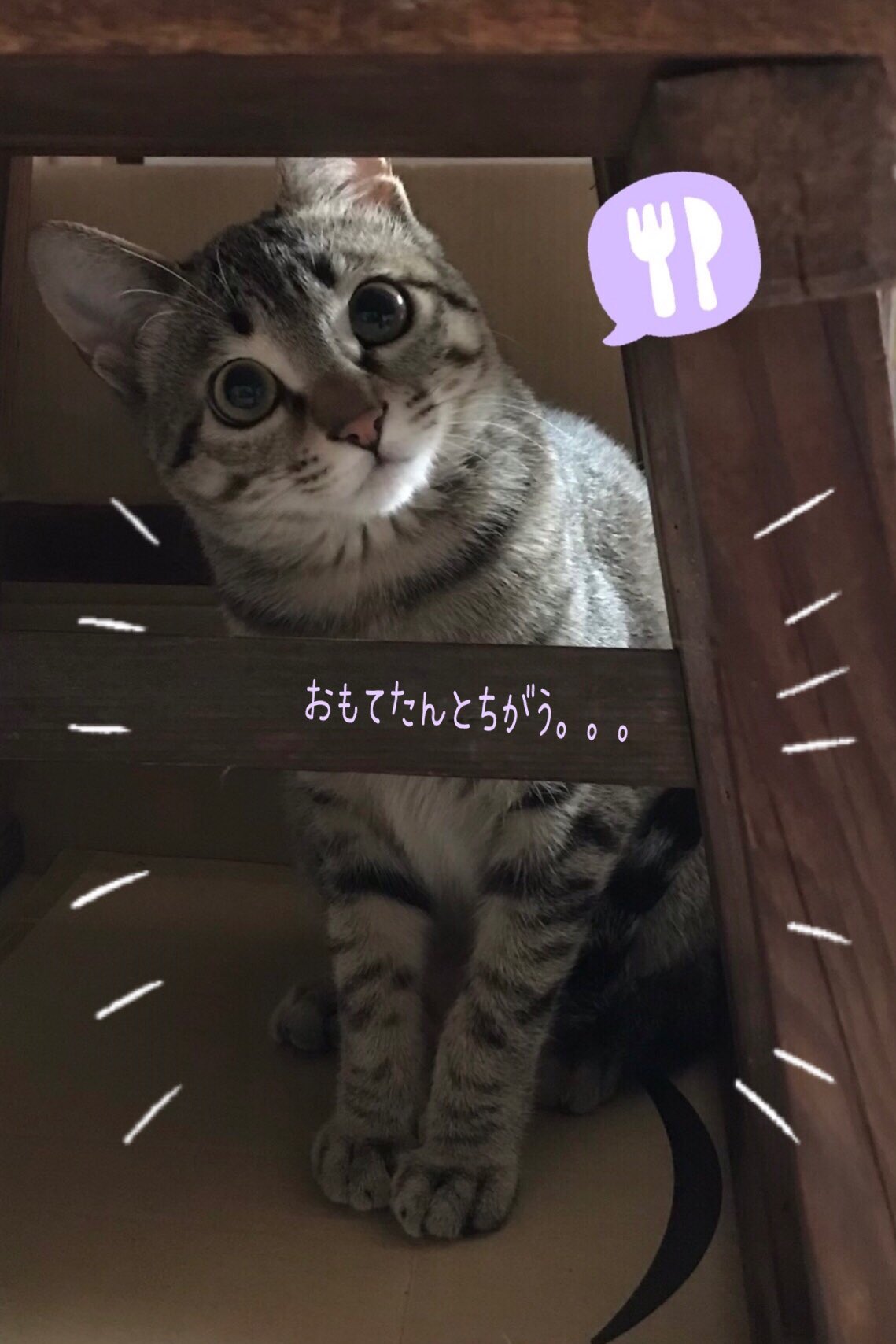 一人になりたい Twitter Search Twitter