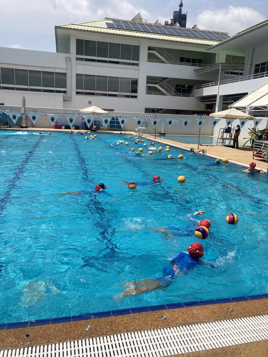 SHB Swimming tweet media
