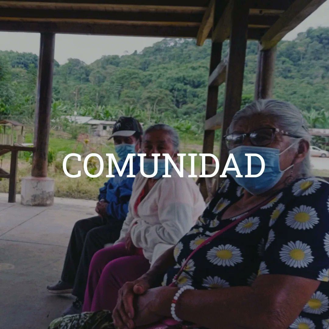 "Llegué a esta comunidad cuando tenía 10 años caminado tres días desde Pacto. No había camino, solo chakiñanes. Mi padre llegó buscando tener una tierra, así se forjo este pueblo." Señora Leonor Ramírez.

Esto también es escuela.

Escuela Río Pachijal (Chocó Andino, Ecuador)