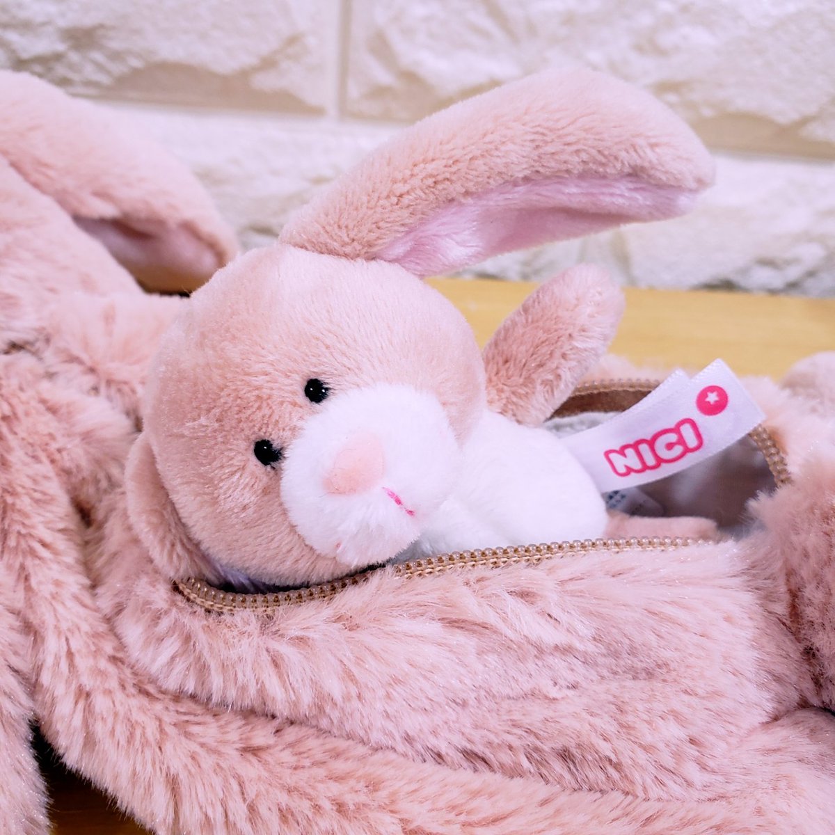 NICI 覗き見ショット📷✨ ～🐰うさちゃん親子編🥕～ ①ん？おみみが