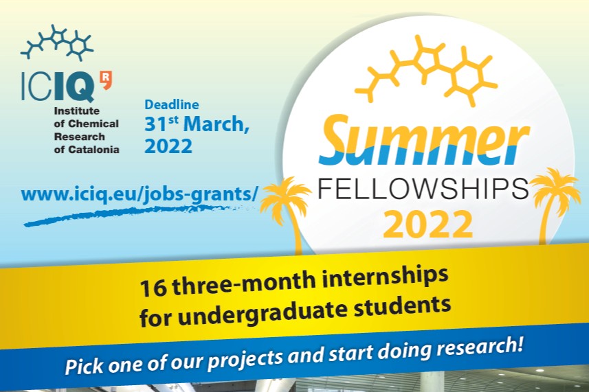 🌴 The ICIQ Summer Fellowships are back!
1️⃣6️⃣ fellowships available for undergrad students to join ICIQ for a three-month paid internship in one of our research groups where they will carry out research projects 👩‍🔬
📆 Deadline: Mar 31
More info: bit.ly/3Iw4PeD