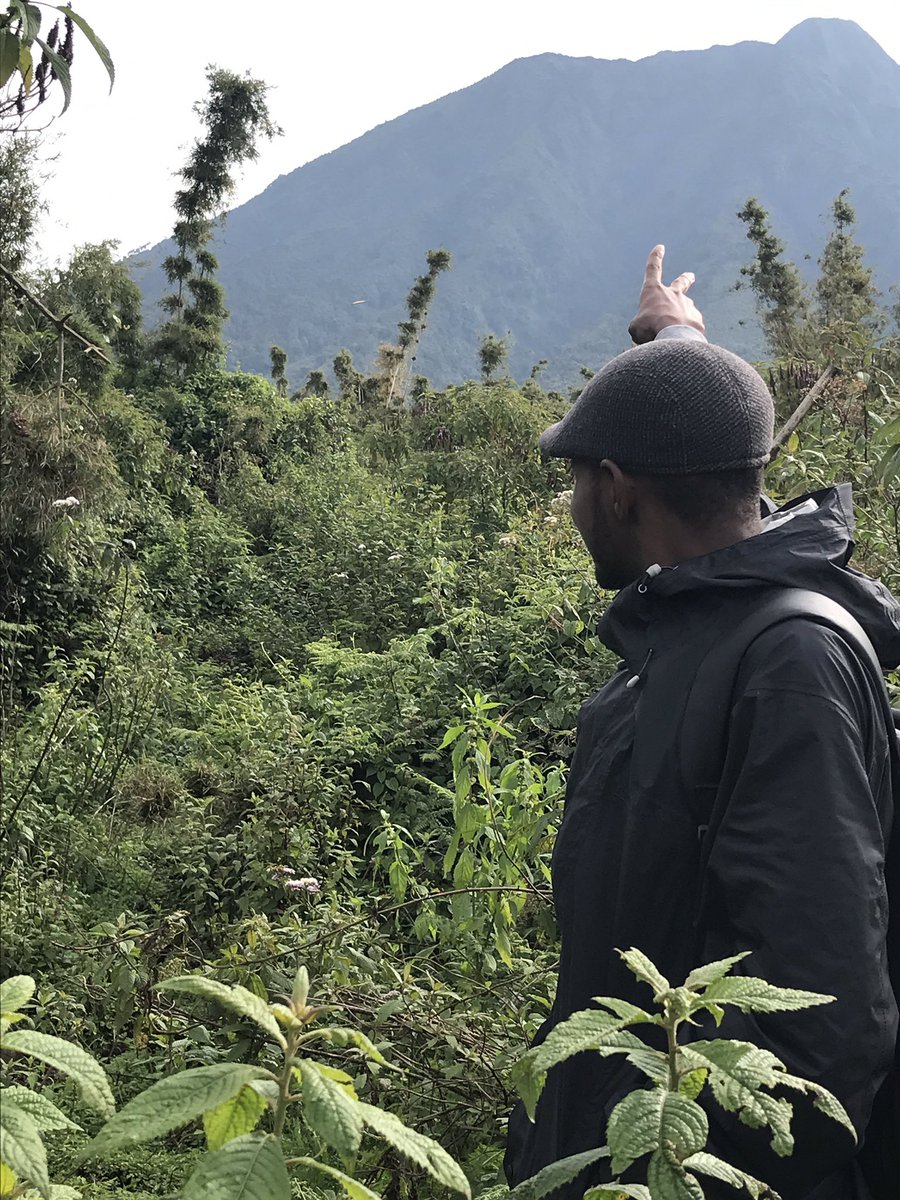 PatrickNIYONSA1's tweet photo. Good morning Rwanda!🇷🇼🇷🇼🇷🇼🇷🇼🇷🇼
Feeling Fresh in one of our Thousand hills. #Sabyinyo. https://t.co/Jb8PmvN0m9