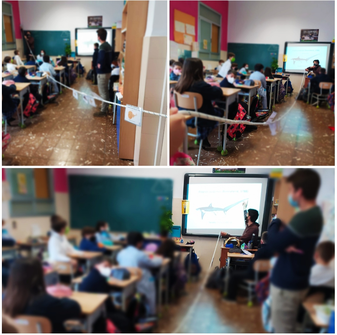 fecmips's tweet photo. Jaime Penadés, presidente de la Asociación LAMNA, compartió una charla-taller con #CuartoEP sobre tiburones🦈 y mantarrayas de la C.Valenciana y del Mediterráneo🌊.
👉Nuestros alumnos conocieron la importancia de cuidar a estas especies y muchas curiosidades➕.
@colegiosfec https://t.co/OJYjHB9BYd
