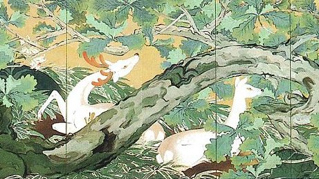 EstherHawdon's tweet photo. "It will be dawn soon,
Opening the window ―
Green leaves."     Santoka

(images: left &amp; right above: Ryushi Kawabata / below: Tamaki Masuda) https://t.co/i1klk591g8