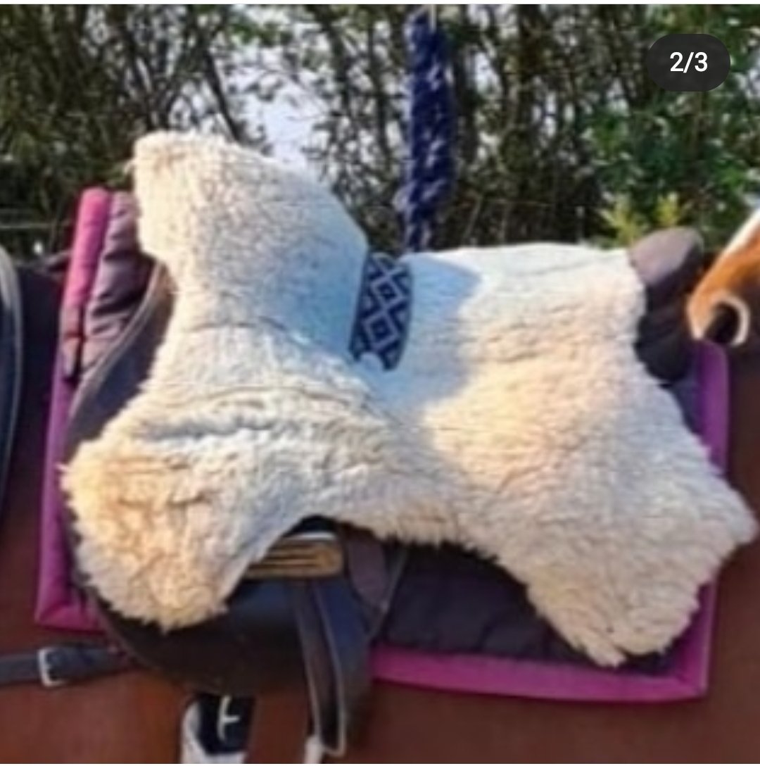 farm_wit's tweet photo. Our sheepskins have been organically tanned by @WelshTannery which means they are chemical free and ideal for over or under a saddle. #polo #polopony #saddle #Horses #sheepskin #horsegear #poloseason #horseriding #tackshop #softbottom https://t.co/IYcqOwdV4e