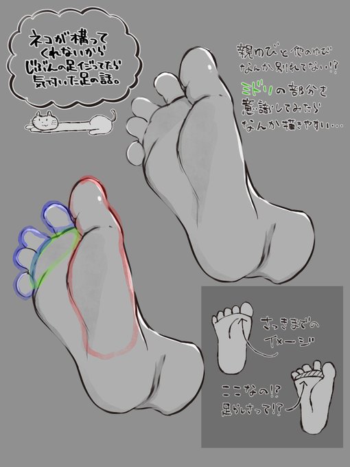 たまにはまじめなやつです、ちょっと『お⁉︎』と思ったので
やまだの足は扁平足なので全く作画の参考になりません(かなしみ) 