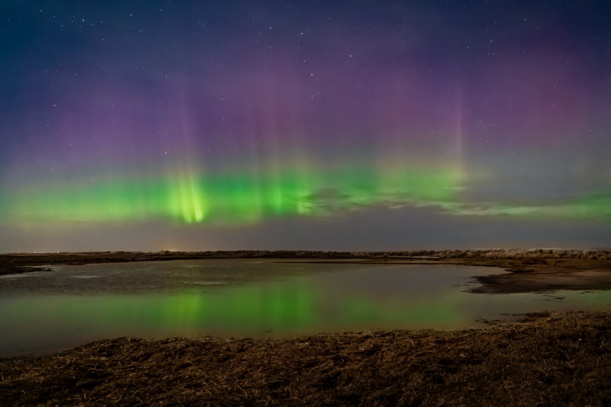 MarkusHibbeler's tweet photo. #Aurora vergangene Nacht bei #Schillig an der #Nordsee. So starkes #Polarlicht in unseren Breiten ist sehr selten. #Auroraborealis #NorthernLights https://t.co/uNIBYVnPwl