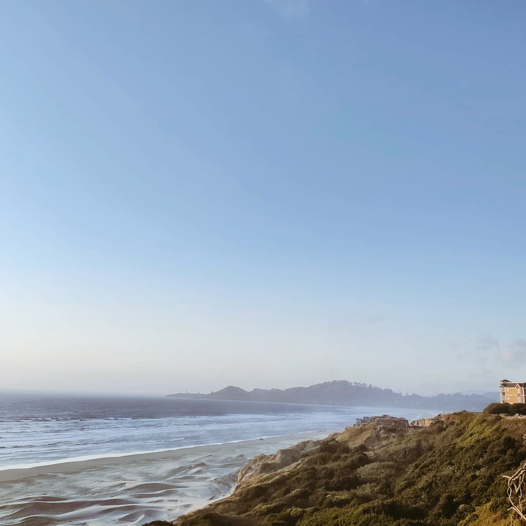 CAMERON DEE tweet media