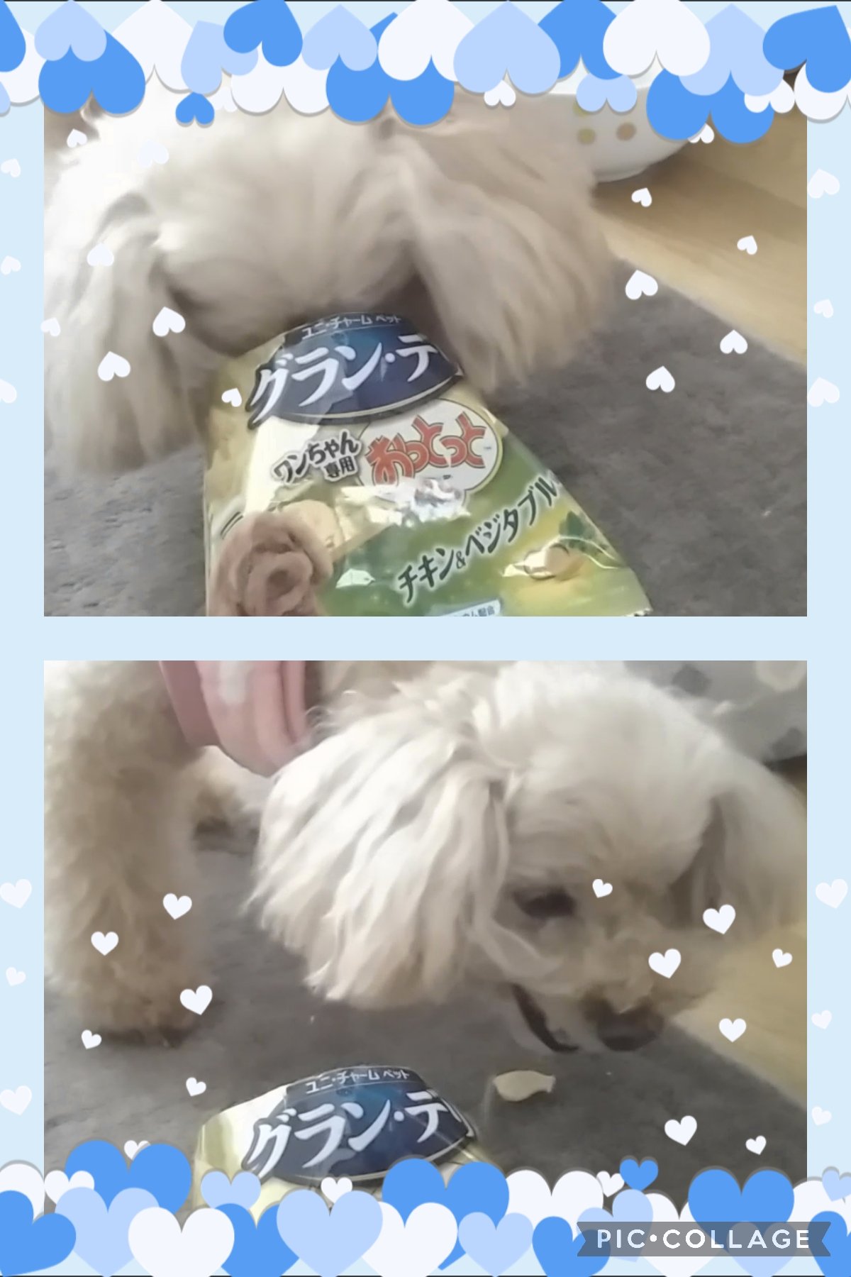 犬用おっとっと Twitter Search Twitter