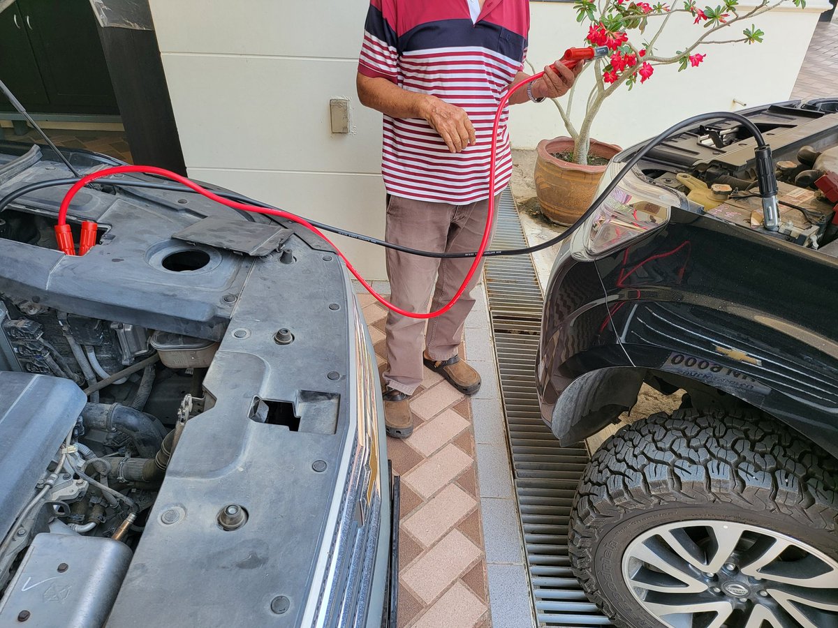 Surrendered_Bear tweet media