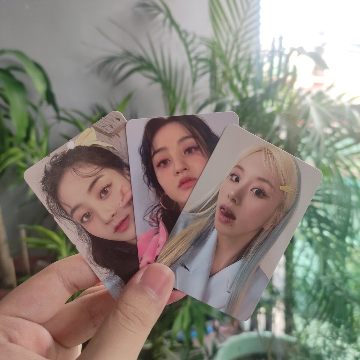 chaenggggjie's tweet photo. ๐ฉ mailday
chae dila dupes ! tysm for packing hyo and chae safely !!! (๏พโใฎโ)๏พ*.โง
@saintbuys #soldbysaint https://t.co/4ZfBFeBL9G