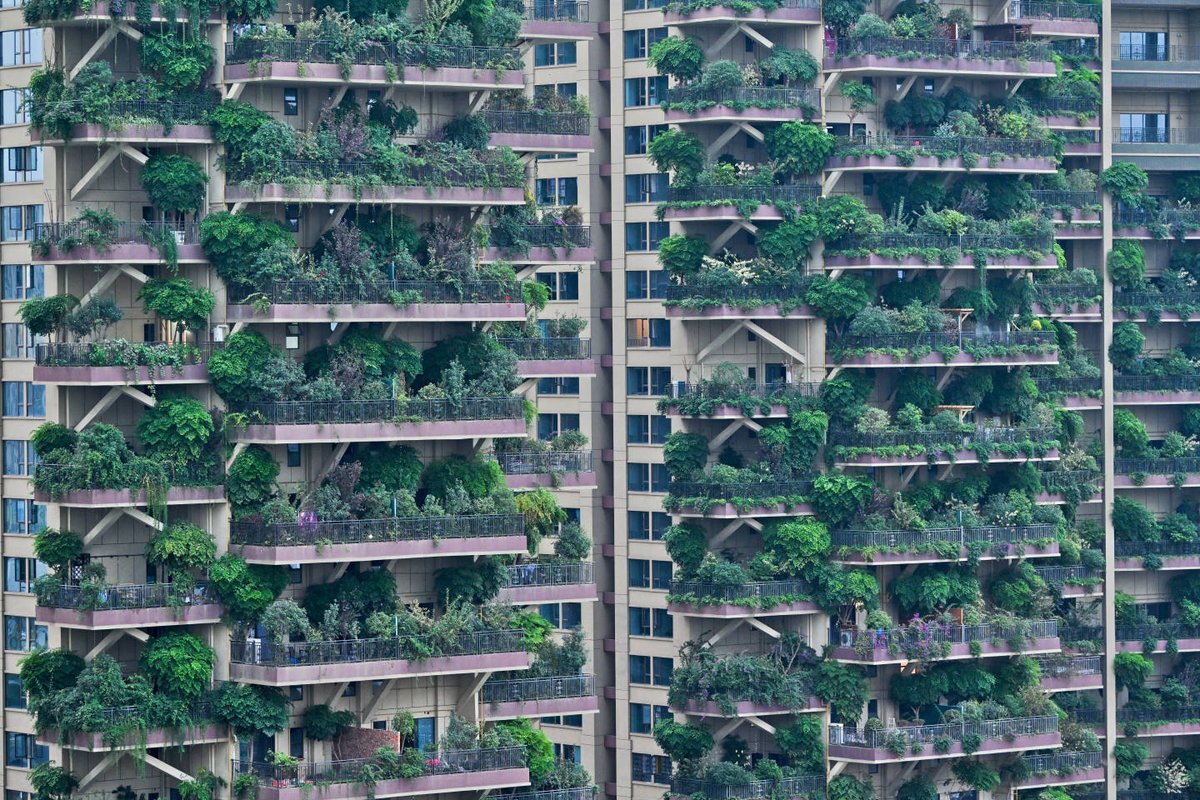 China2ASEAN's tweet photo. A house in the #forest! These houses in #China achieve harmonious co-existence between #humans &amp; #nature. https://t.co/lpDYjX9ejk