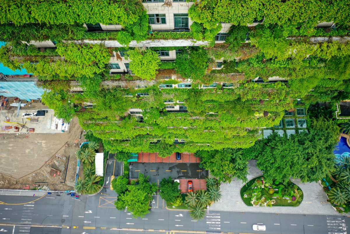 China2ASEAN's tweet photo. A house in the #forest! These houses in #China achieve harmonious co-existence between #humans &amp; #nature. https://t.co/lpDYjX9ejk