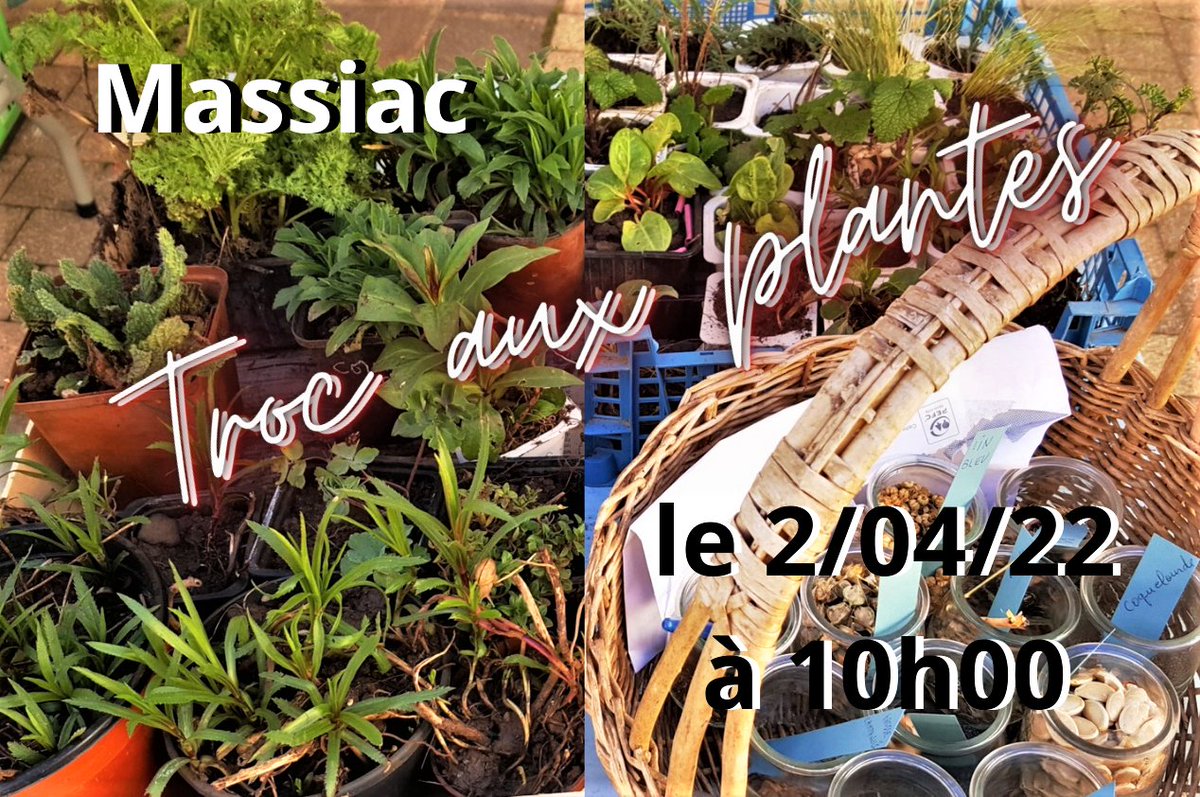 Talents_dIci's tweet photo. Troc aux plantes et semences :
Gratuit pour échanger graines, plants, semis ... et se rencontrer autour de la même passion : Le Jardin !
LE SAMEDI 2 AVRIL 2022 de 10h à 13h à Talents d'Ici Massiac https://t.co/ATov3iBOMm