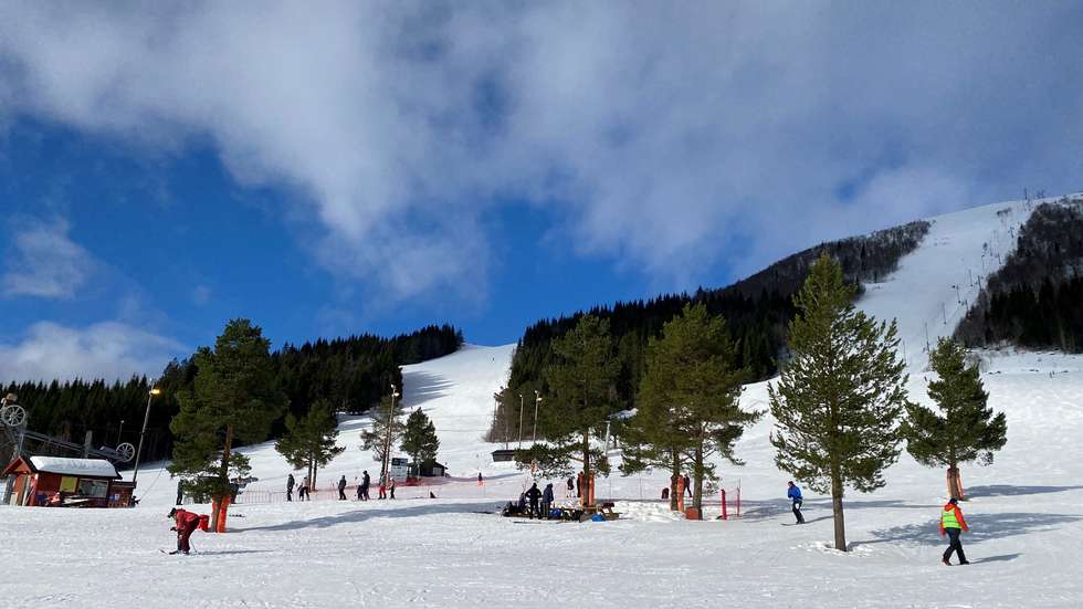 Avviser at p-løysing er ulovleg dlvr.it/SLdzyP